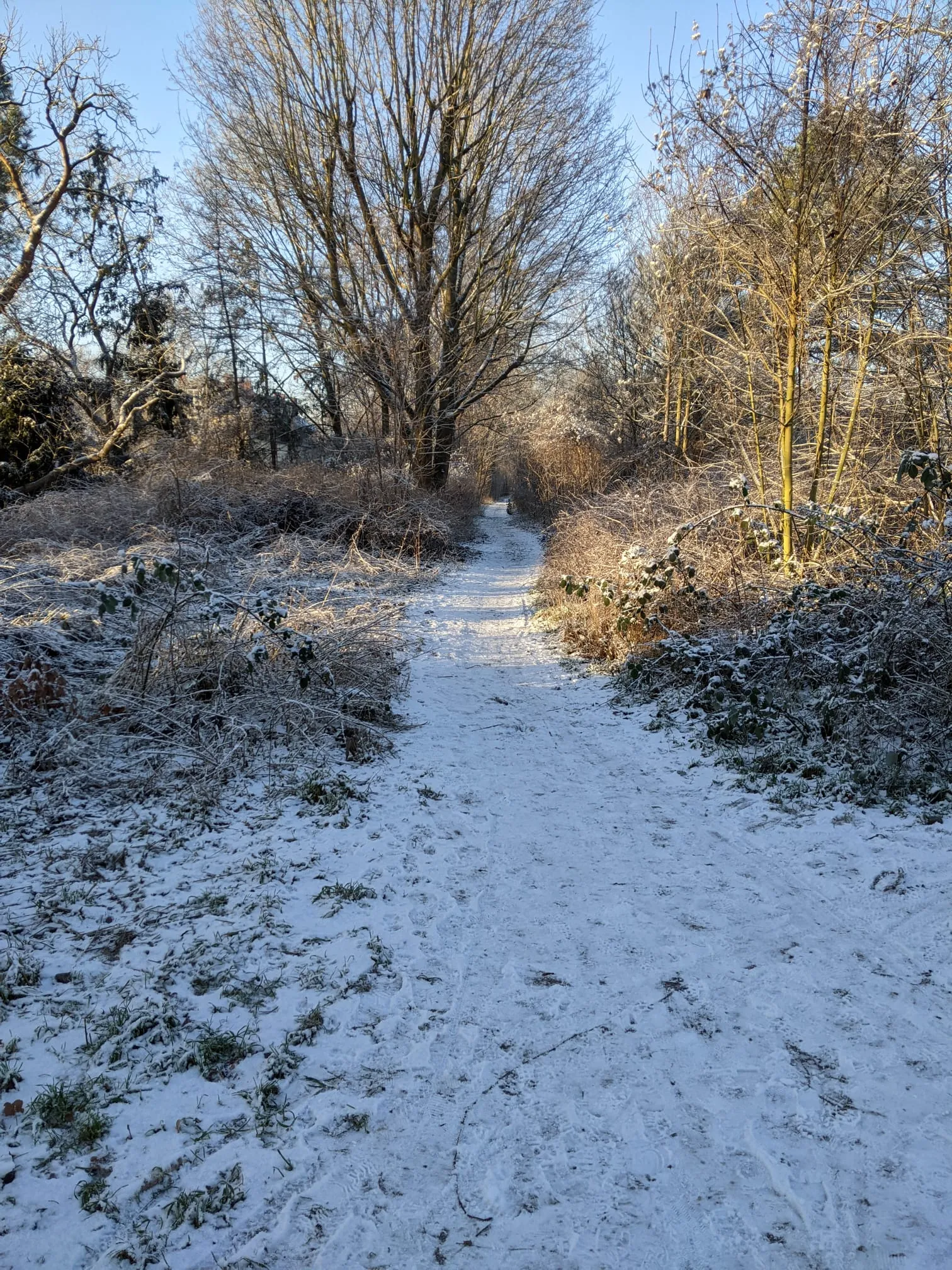 Warm Snow